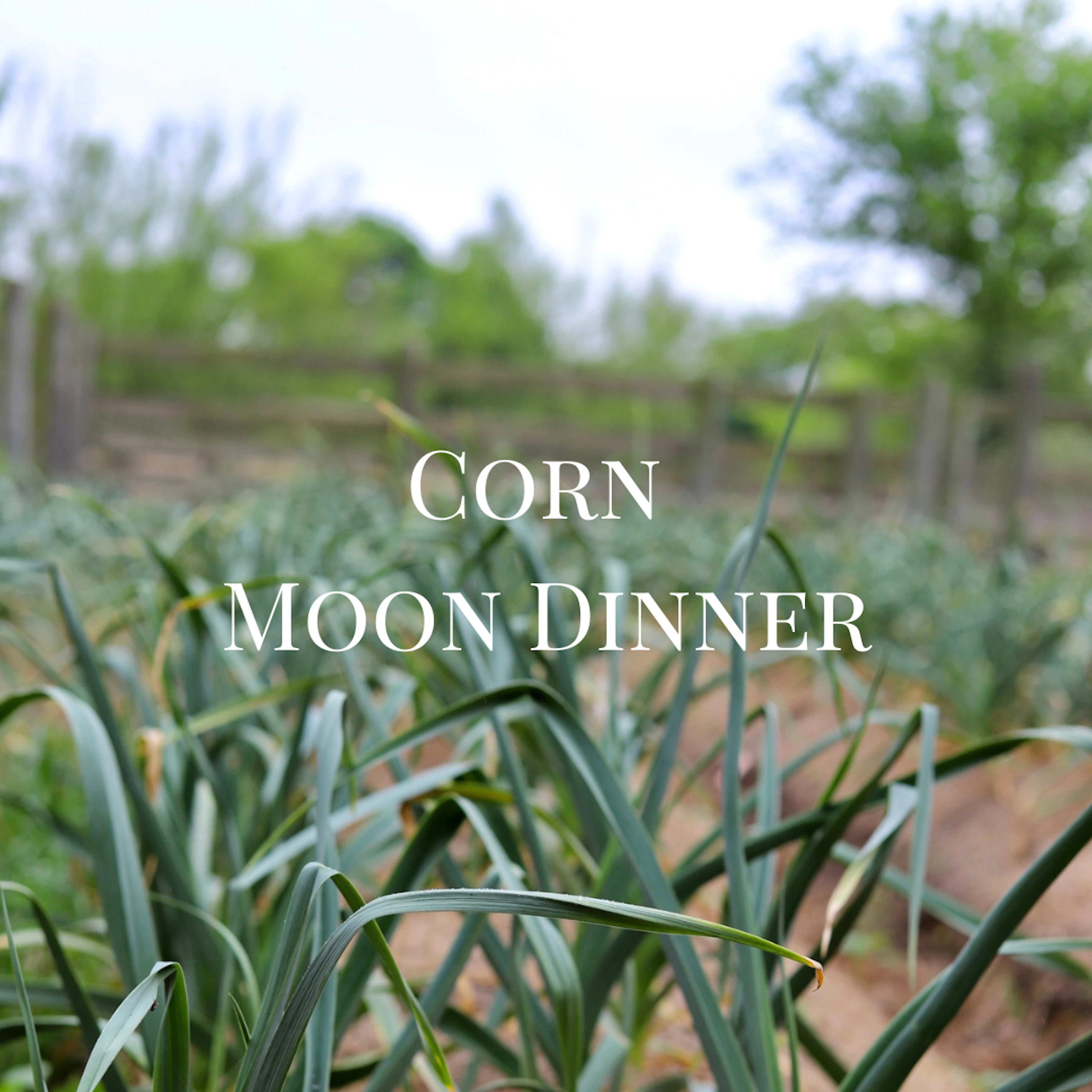 Food event at Ronin Farm