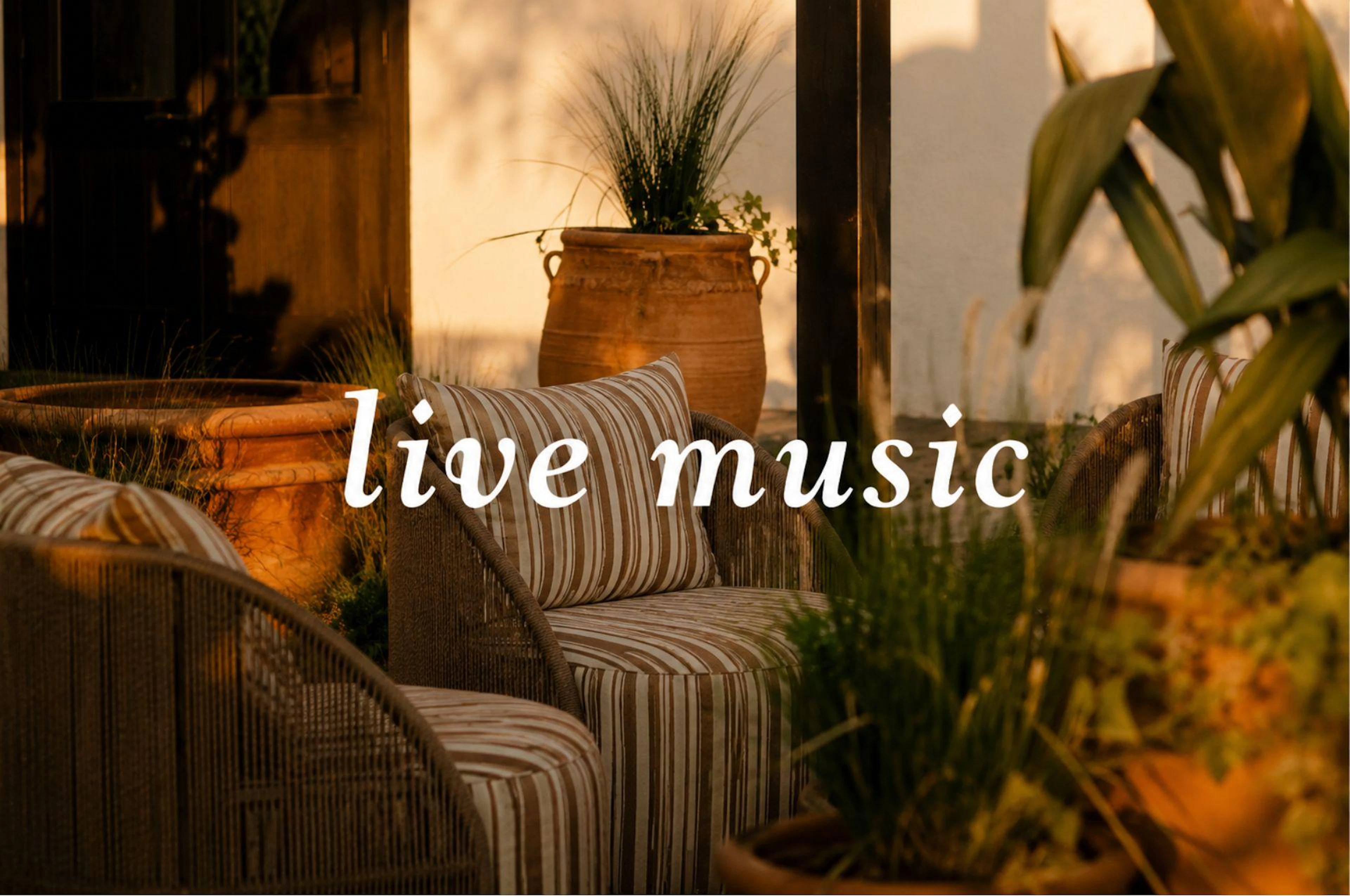 Music event at Texican Court