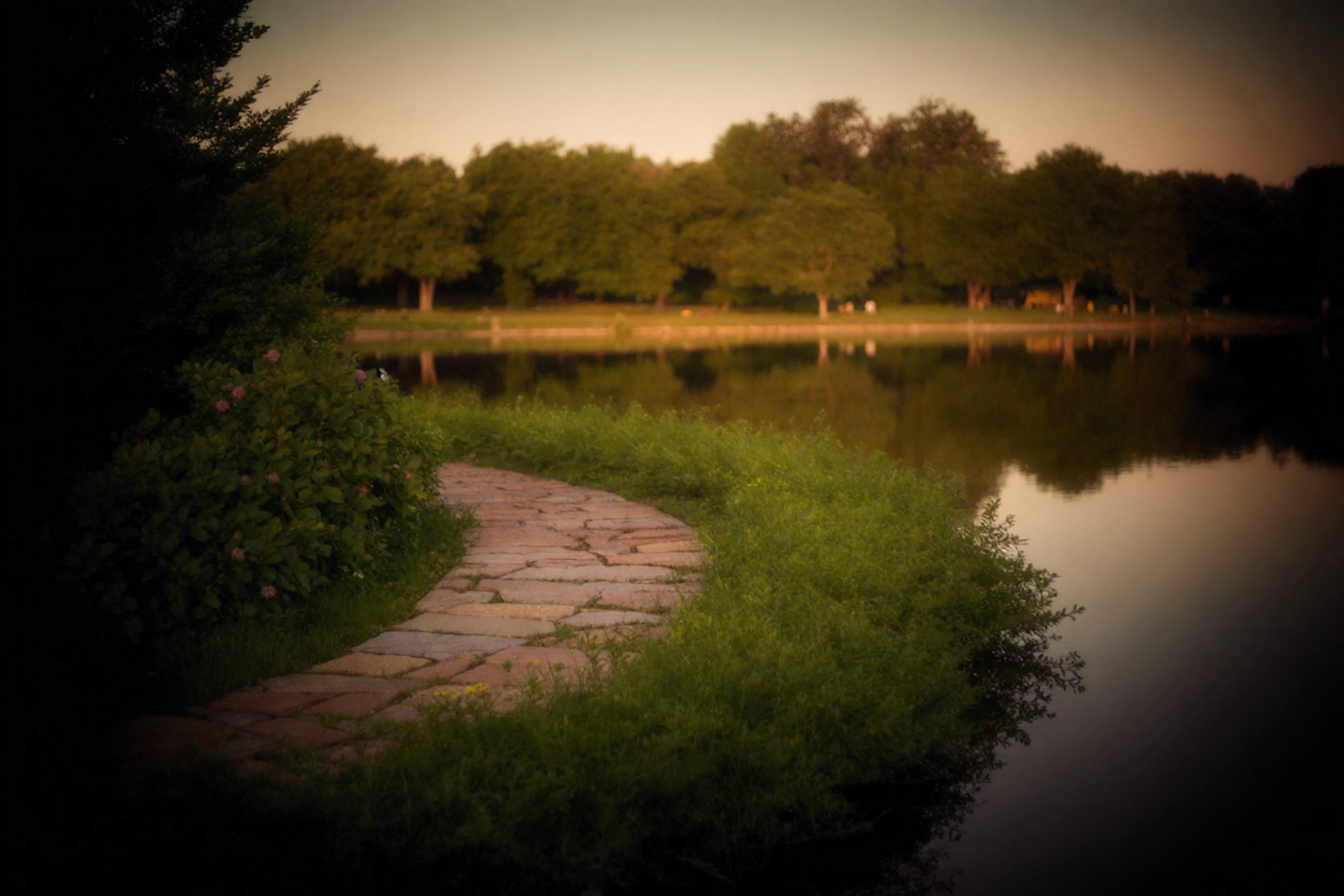 Long Branch Park offers 78 acres of trails for walking, running, and outdoor enjoyment just a short drive from The Remington.