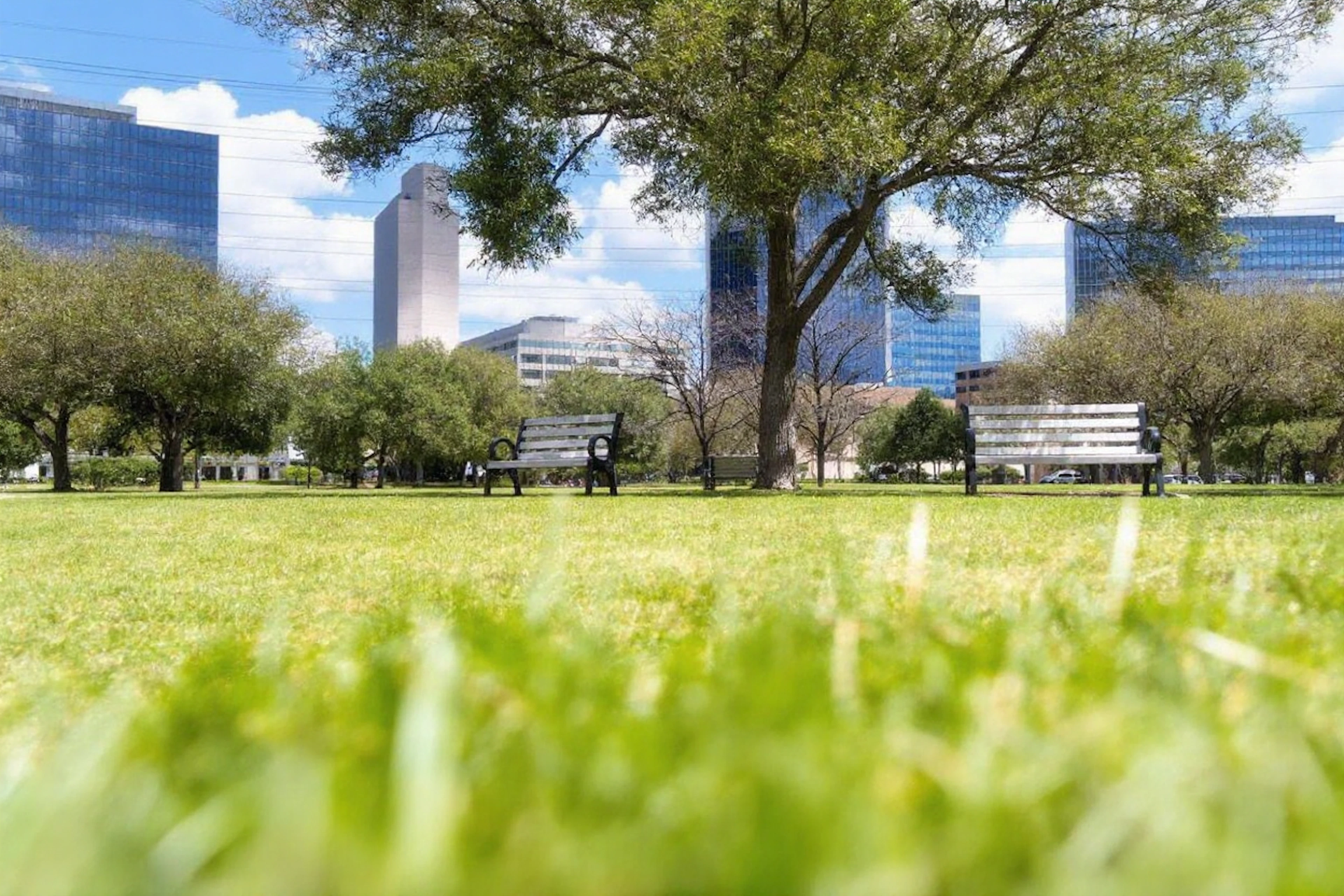 Discover Houston parks named after influential women like Ima Hogg, who shaped the city's green spaces.